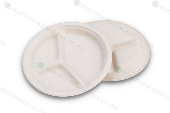paper plate produced by HGHY pulp molding machine