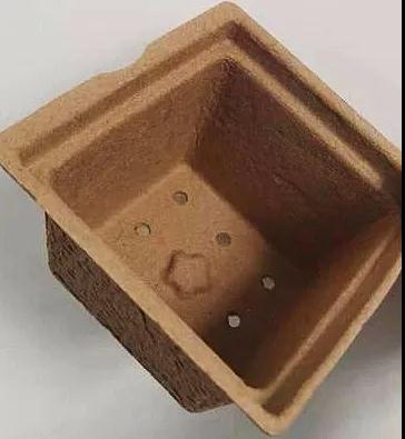 Seedling pot