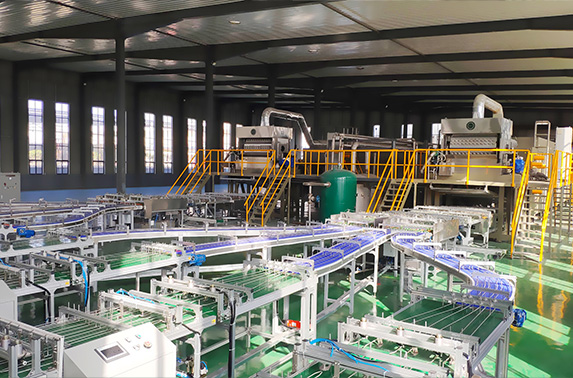 Automatic Rotary Egg Carton Machine