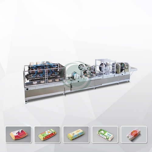 Automatic Egg Carton Labeling and Printing Machine