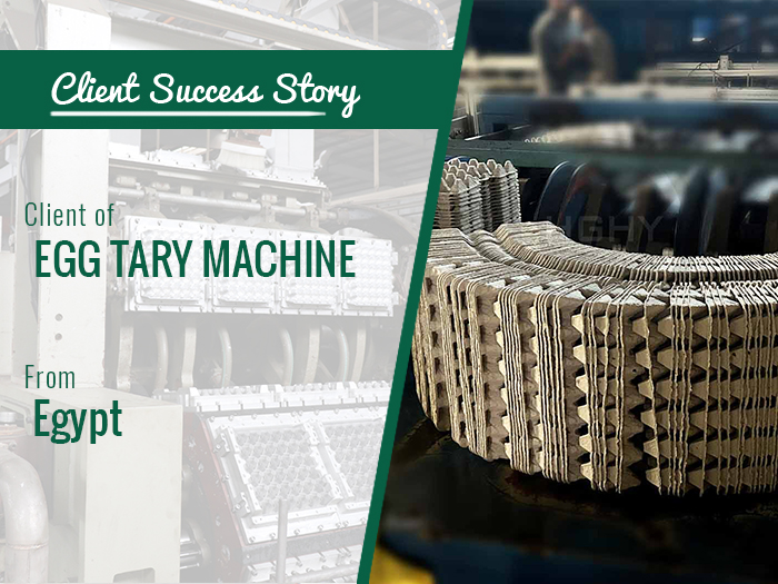 Client Success Story-Egg Tray Machine in Africa