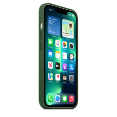iPhone 13 Pro Silicone Case with MagSafe - Eucalyptus