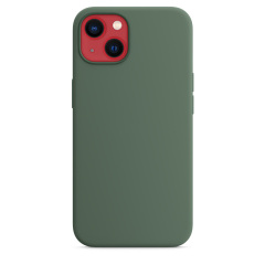 iPhone 13 Silicone Case with MagSafe - Eucalyptus