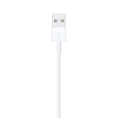 Lightning to USB Cable (1 m)