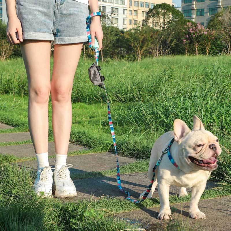 Dog Poop Bag Dispenser For Leash and Collar