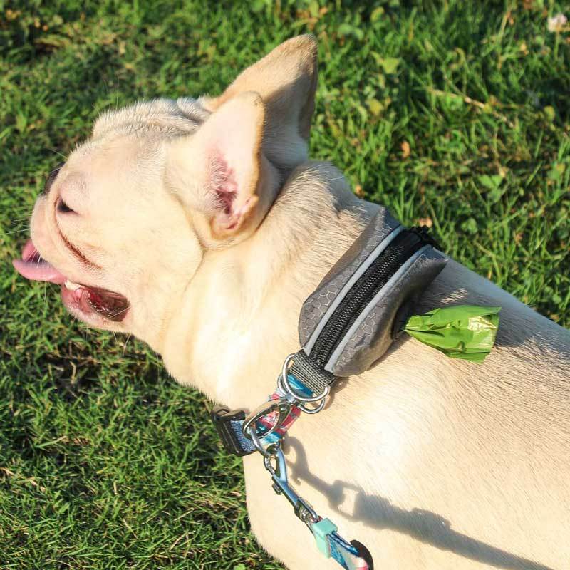 Dog Poop Bag Dispenser For Leash and Collar