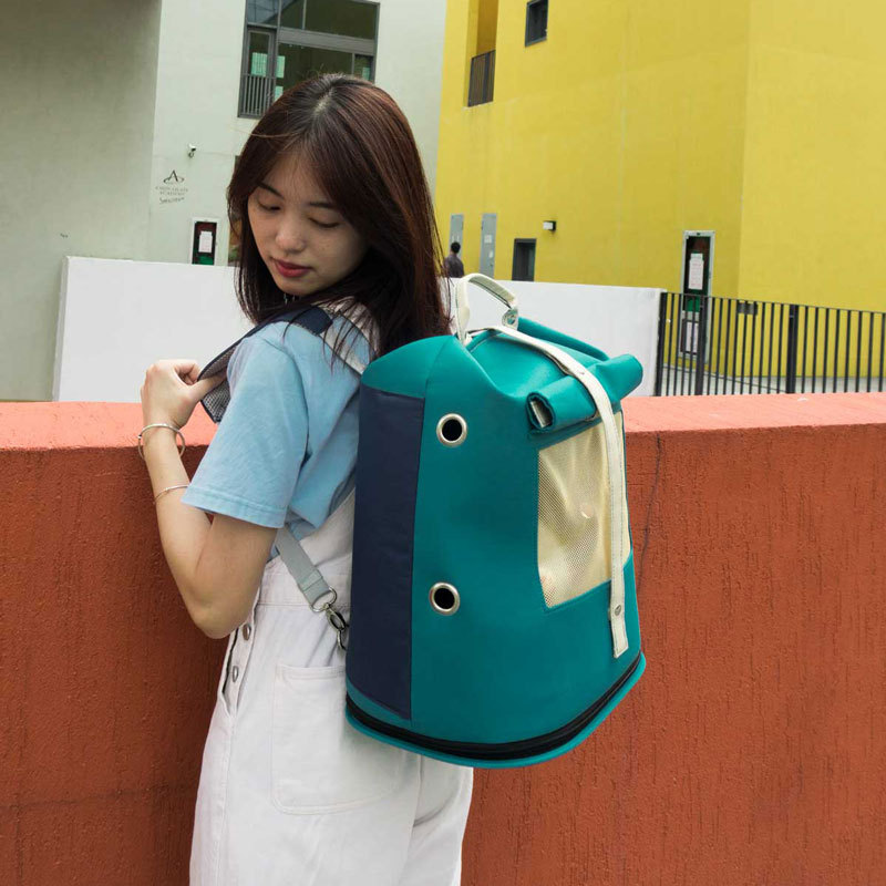 Cat Carrier Backpack Canvas with Mesh