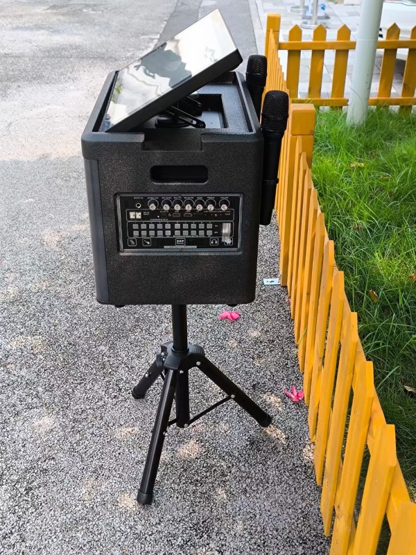 Party Star Karaoke Speaker with Screen