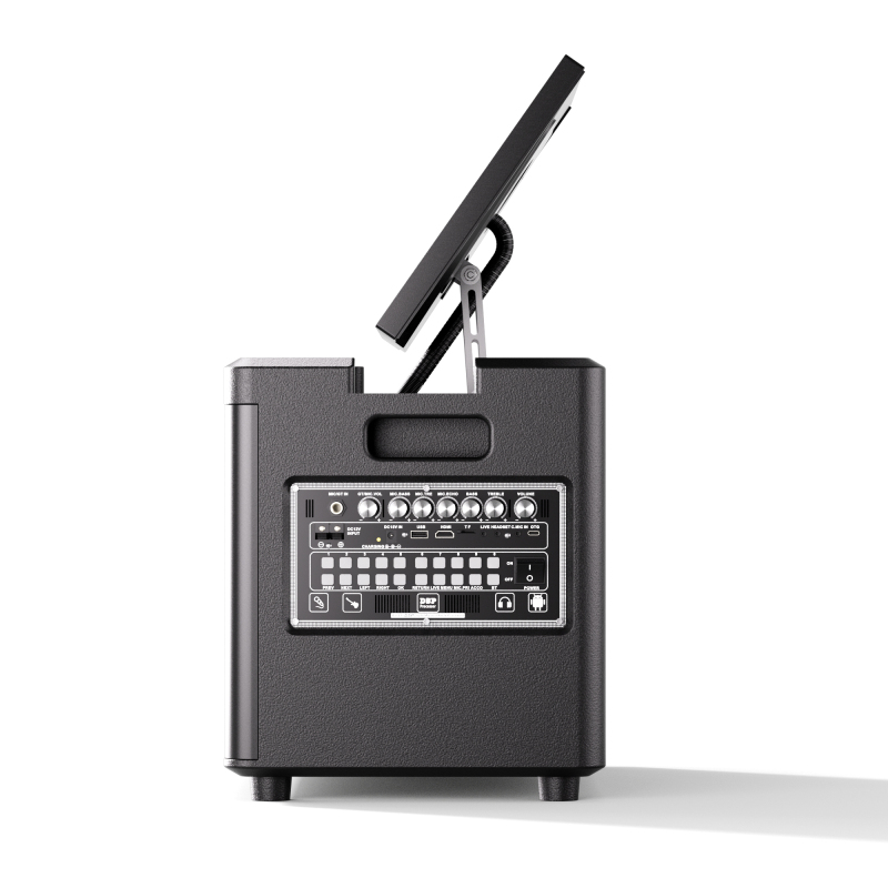 Party Star Karaoke Speaker with Screen