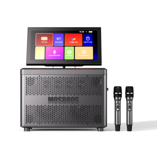 Party Star Karaoke Speaker with Screen