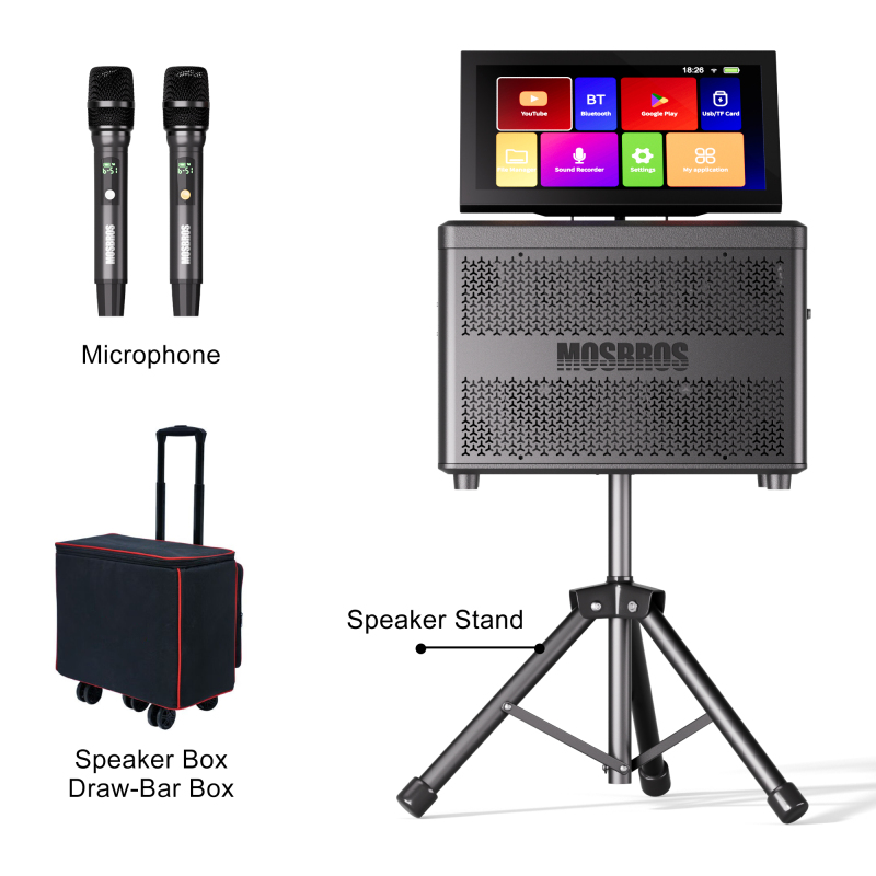 Party Star Karaoke Speaker with Screen