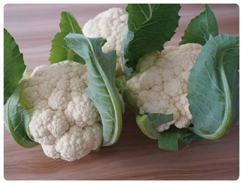 F1 Cauliflower seeds-Solid Ball 50