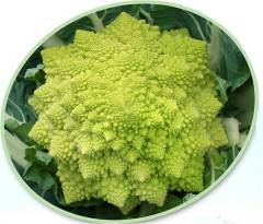 F1 Romanesco Broccoli Cauliflower seeds-Green Tower