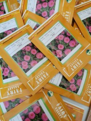 F1 All Colors Of Zinnia Seeds for Pot growing