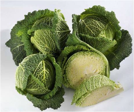 F1 Savoy Cabbage Seeds For Sale-Folded No.1