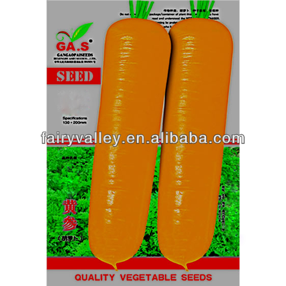 Yellow Carrot Seeds