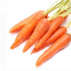 Mini Orange Carrot seeds-Small Sweet Crisp