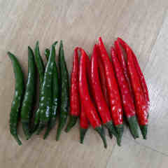 F1 Hot Pepper Seeds- Red Sunshine No.5