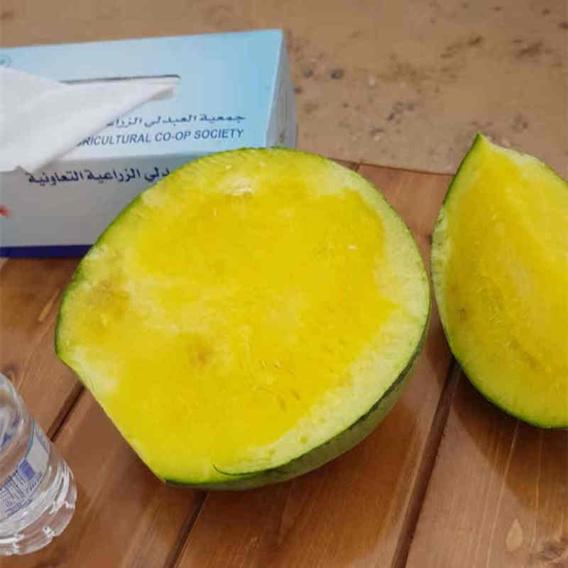 F1 Seedless Watermelon Seeds-Gold Baby