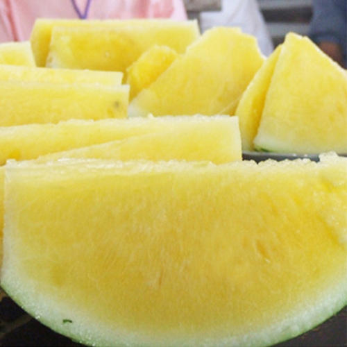 F1 Seedless Watermelon Seeds-Gold Baby