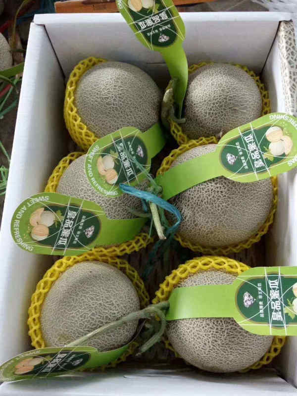 Musk Cantaloupe Hami Melon Seeds-Green Jade Honey