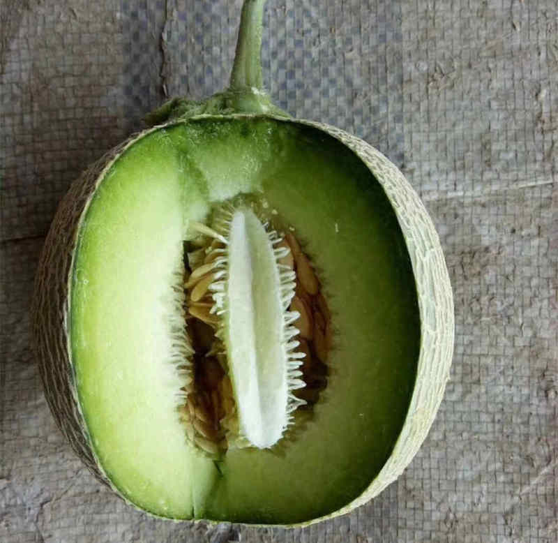 Musk Cantaloupe Hami Melon Seeds-Green Jade Honey