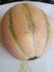 F1 Orange Flesh Cantaloupe Melon Seeds-New Honey No.3