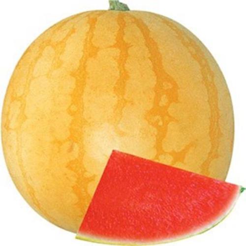 F1 Seedless Watermelon Seeds-Golden Seedless
