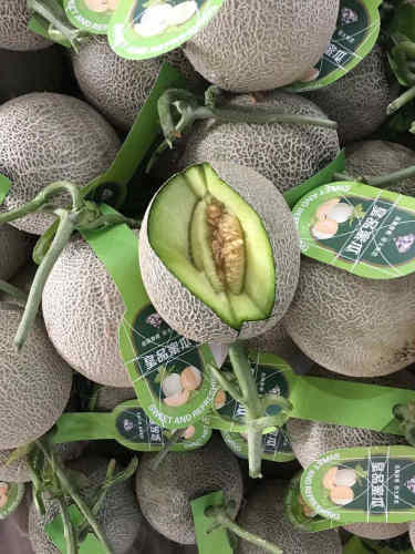 Musk Cantaloupe Hami Melon Seeds-Green Jade Honey