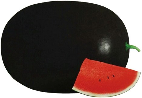 F1 Seeded Watermelon Seeds-Super Big Black Resistance General