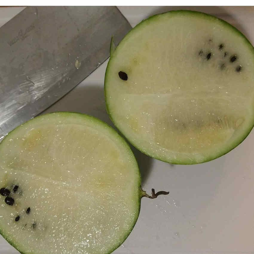 F1 Seeded Watermelon Seeds-Snow Baby