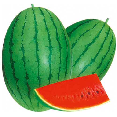 F1 Seeded Watermelon Seeds-Red Honey