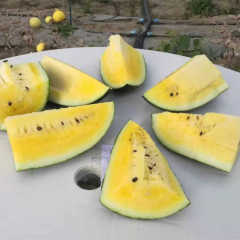 F1 Seeded Watermelon Seeds-Black Beauty