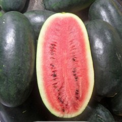 F1 Seeded Watermelon Seeds-Big fruit Black Beauty