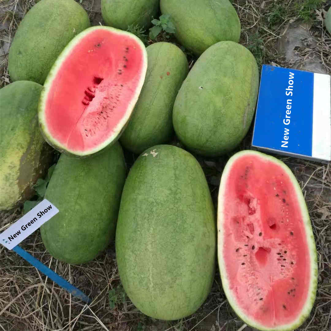 F1 Seeded Watermelon SeedsNew Green Show,Fruit Seeds,Watermelon Seeds