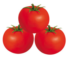F1 Red Tomato Seeds- Summer Red