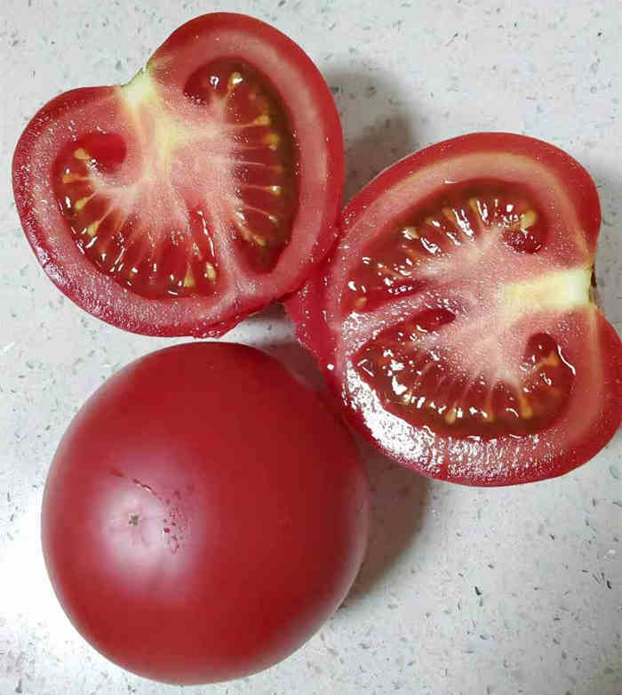 F1 Pink Tomato Seeds-ST001