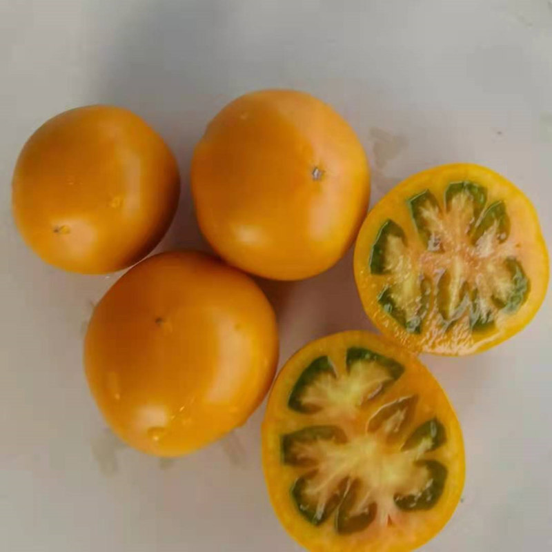 F1 Yellow Tomato Seeds-ST003