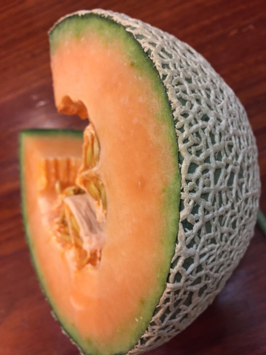 F1 Musk Melon Cantaloupe Hami Melon Seeds-Ruby No.6 F1