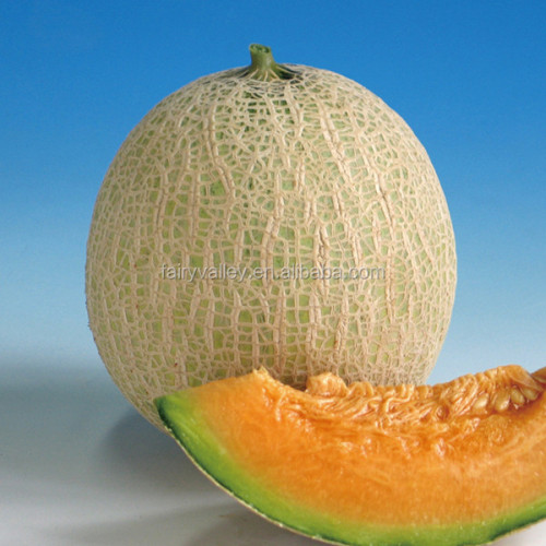 F1 Musk melon seeds for planting-Red Pearl