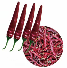 F1 Hot Pepper Seeds-Purple Red No.2