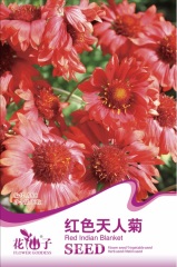 More than 10000 Kinds of Home Garden Seeds-Small Packets For Selling