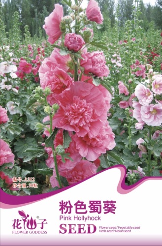 More than 10000 Kinds of Home Garden Seeds-Small Packets For Selling