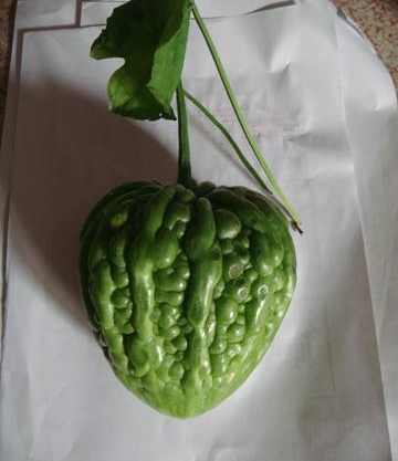 F1 Bitter Gourd Seeds - Big Heart