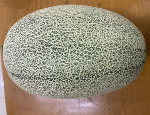 F1 Hami Melon Seeds-Green Honey King No.2