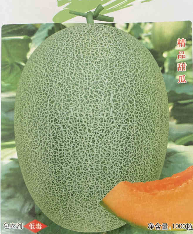 F1 Hami Melon Seeds-Green Honey King No.1