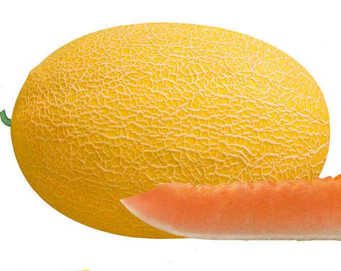 F1 Cantaloupe Hami Melon Seeds-Yellow Honey No.3