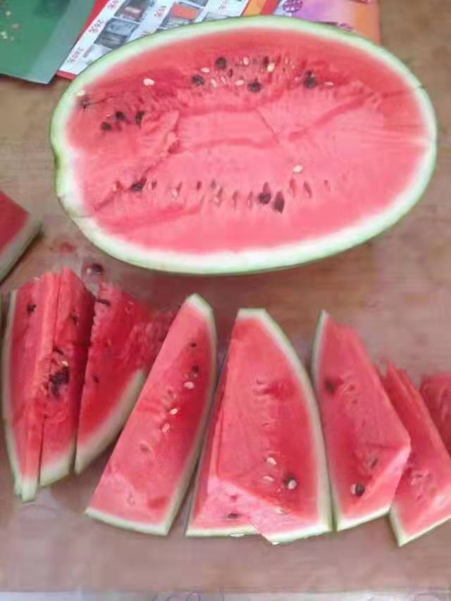 F1 Seeded Watermelon Seeds-NC