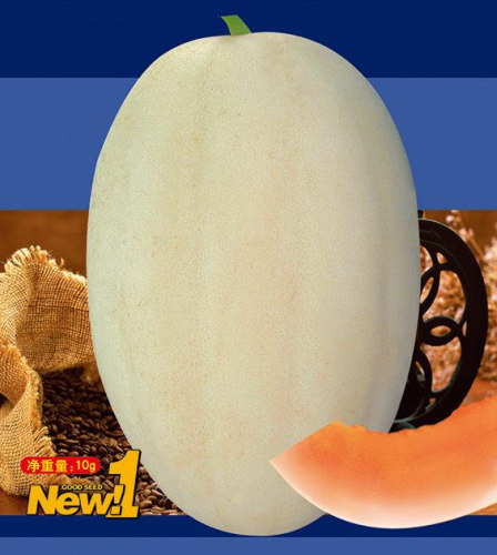 F1 Sweet Melon Seeds-Red In Snow