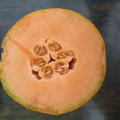 F1 Melon Seeds-Ruby No.9